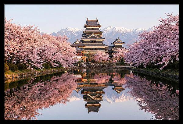 Matsumoto Castle Under Cherry Blossoms