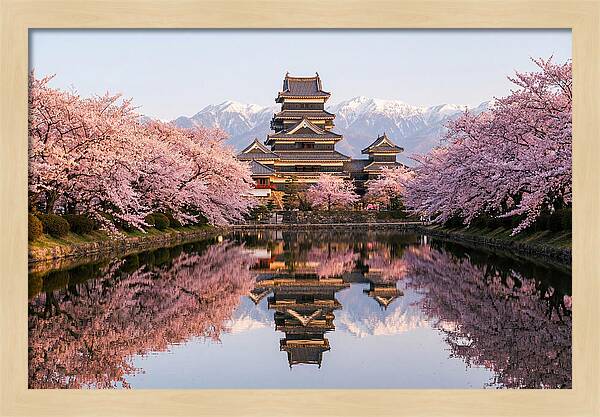Matsumoto Castle Under Cherry Blossoms