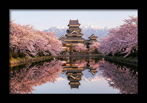 Matsumoto Castle Under Cherry Blossoms