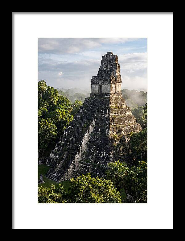 Mayan Majesty Amidst Lush Greenery