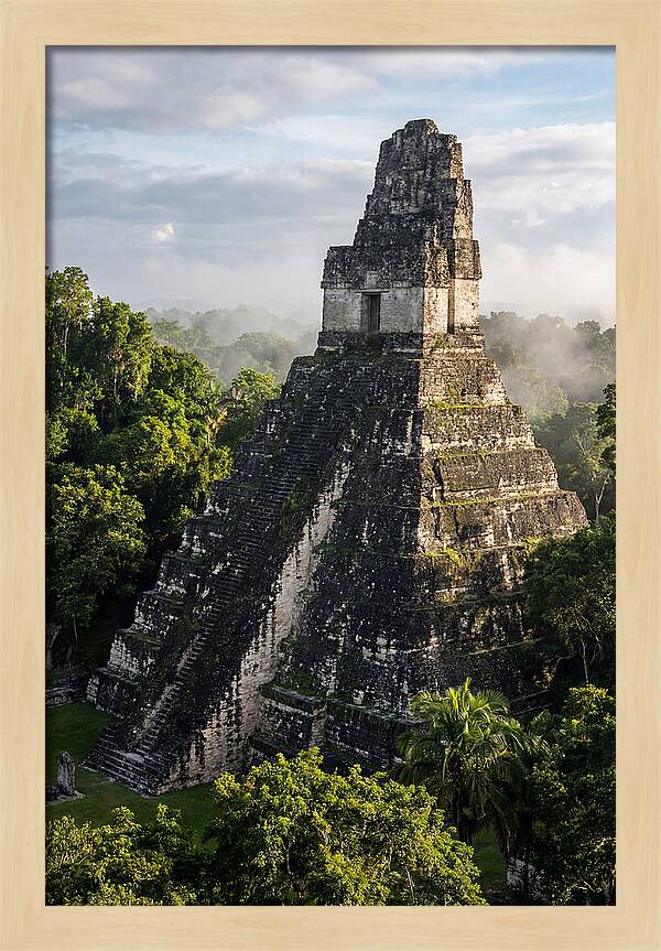Mayan Majesty Amidst Lush Greenery