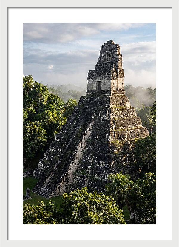 Mayan Majesty Amidst Lush Greenery