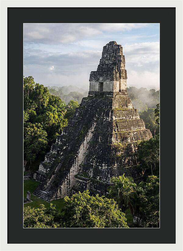 Mayan Majesty Amidst Lush Greenery