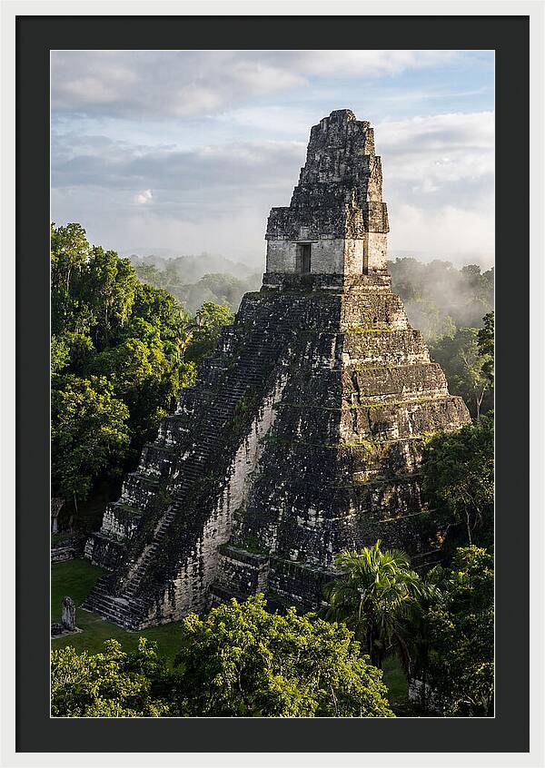 Mayan Majesty Amidst Lush Greenery
