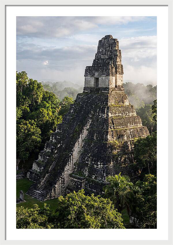Mayan Majesty Amidst Lush Greenery