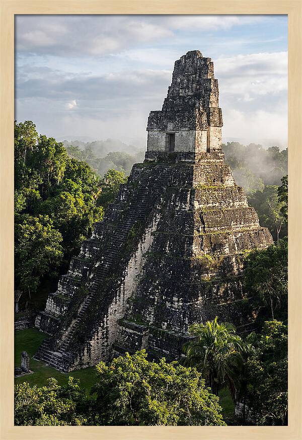 Mayan Majesty Amidst Lush Greenery