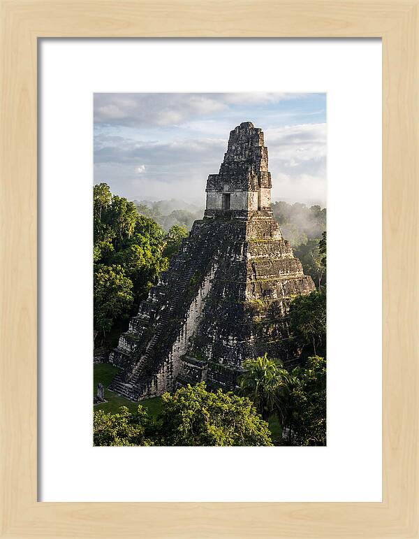 Mayan Majesty Amidst Lush Greenery