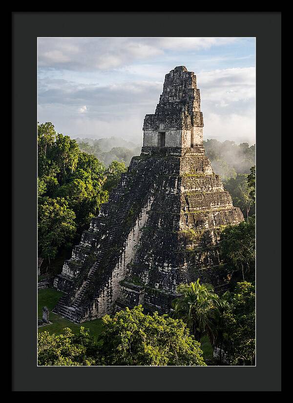 Mayan Majesty Amidst Lush Greenery
