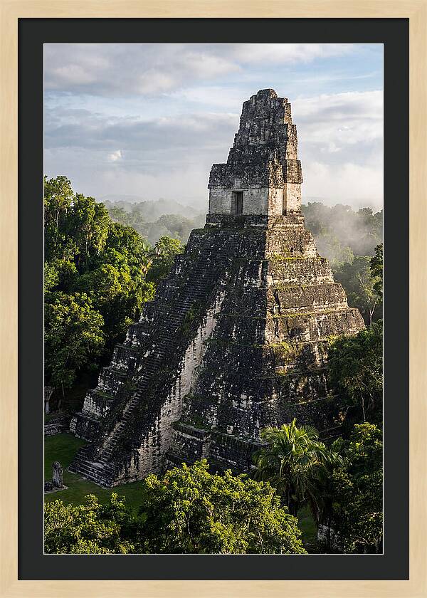 Mayan Majesty Amidst Lush Greenery