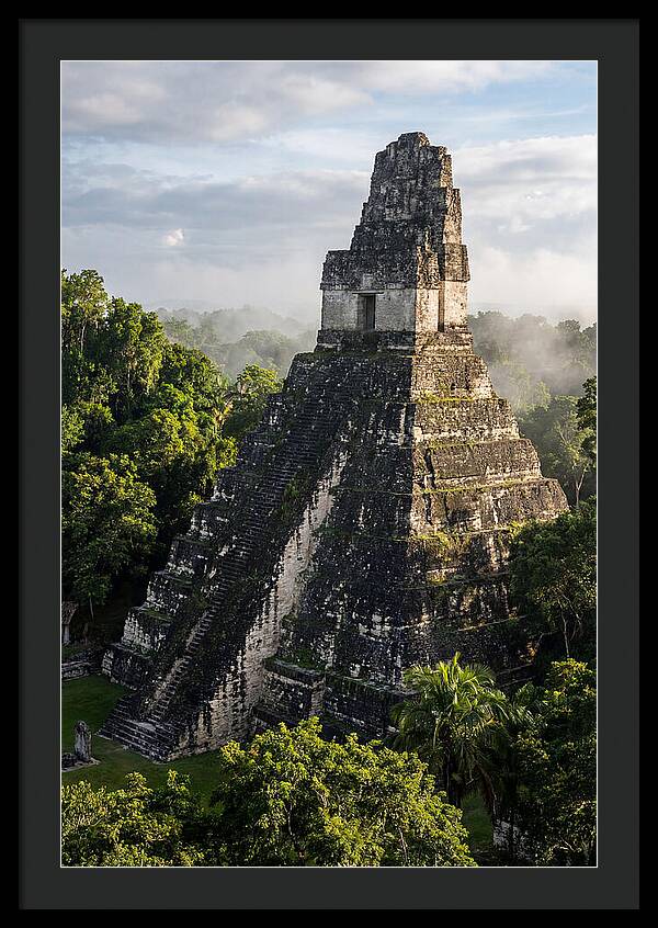 Mayan Majesty Amidst Lush Greenery