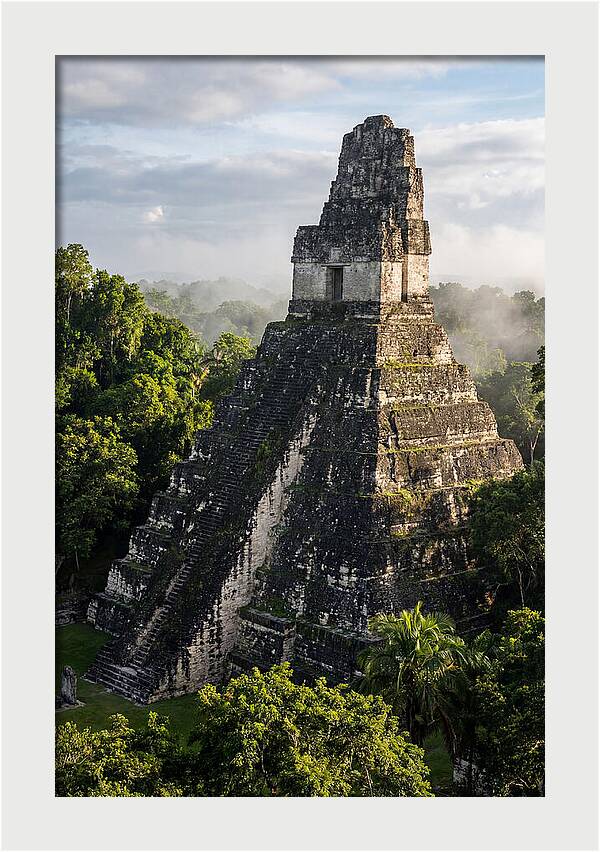 Mayan Majesty Amidst Lush Greenery