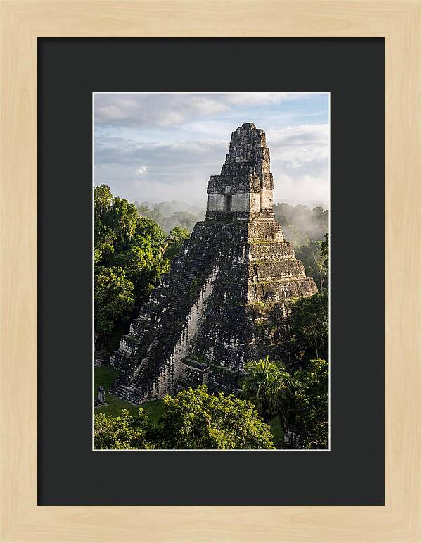 Mayan Majesty Amidst Lush Greenery