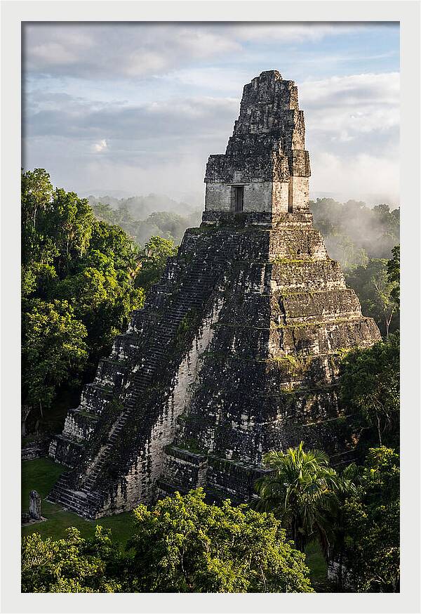 Mayan Majesty Amidst Lush Greenery