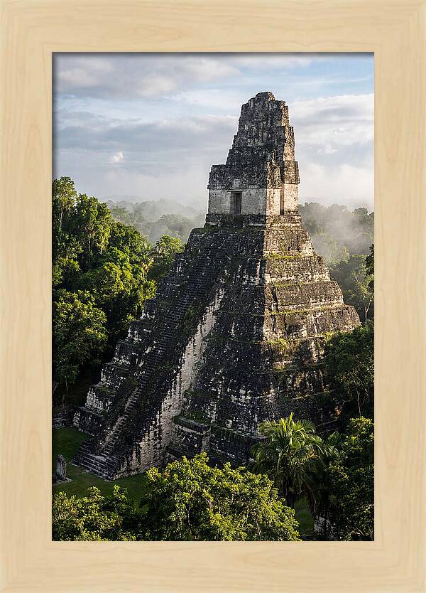 Mayan Majesty Amidst Lush Greenery