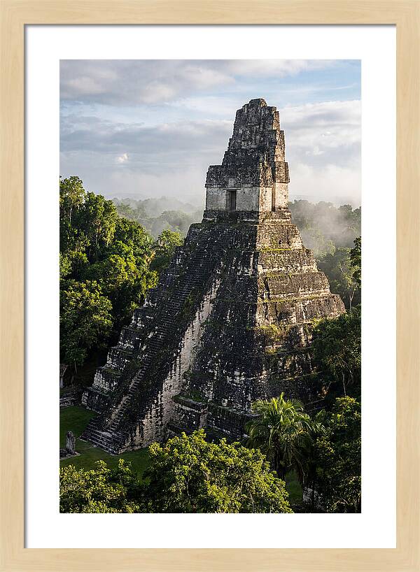Mayan Majesty Amidst Lush Greenery