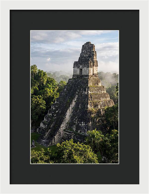 Mayan Majesty Amidst Lush Greenery