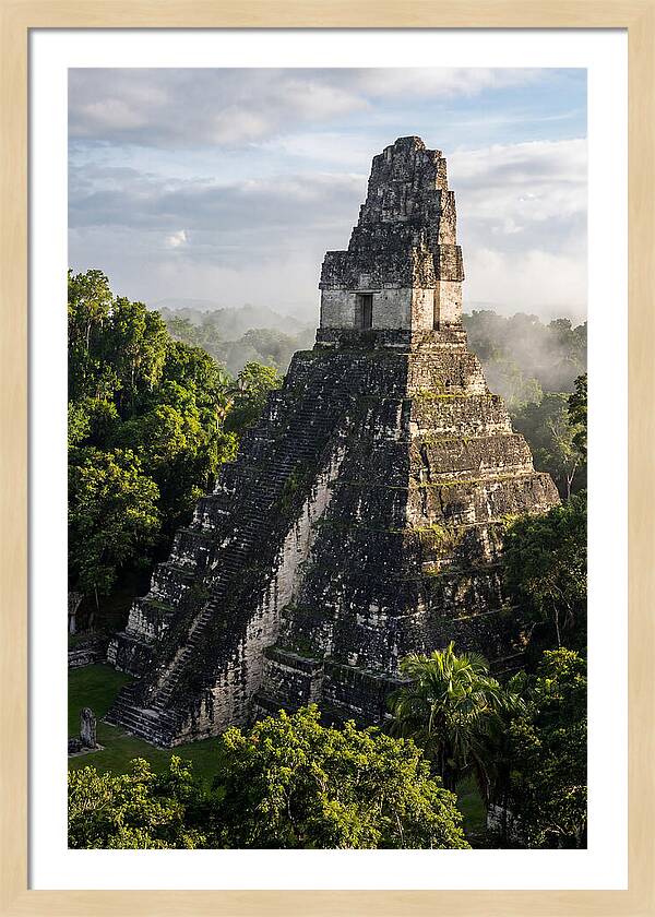 Mayan Majesty Amidst Lush Greenery