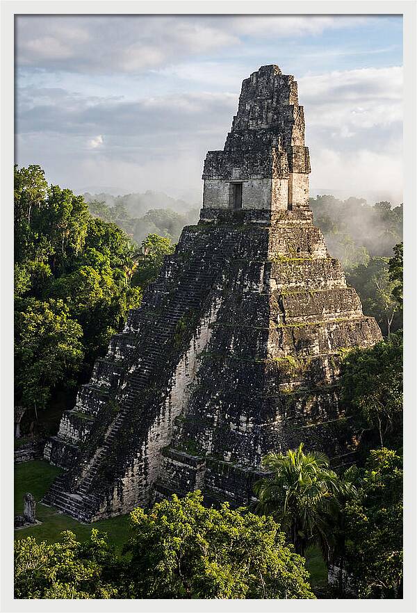 Mayan Majesty Amidst Lush Greenery