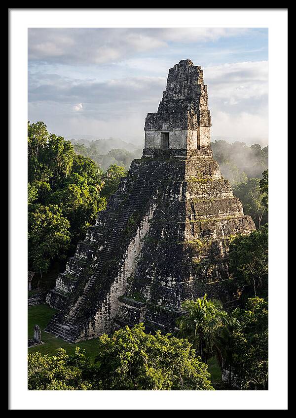 Mayan Majesty Amidst Lush Greenery