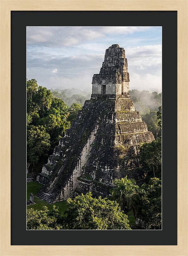 Mayan Majesty Amidst Lush Greenery