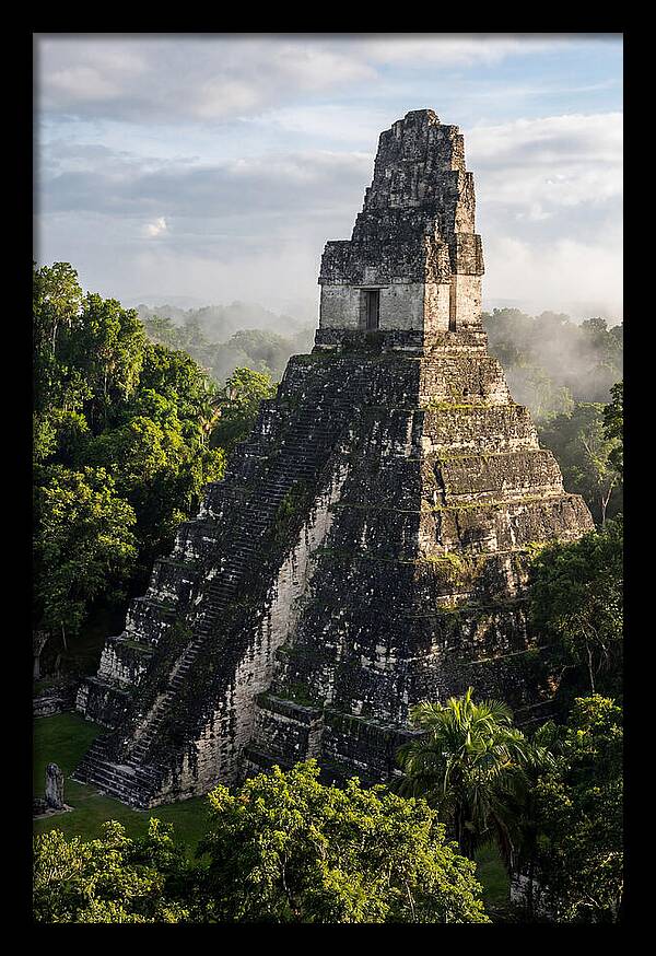 Mayan Majesty Amidst Lush Greenery