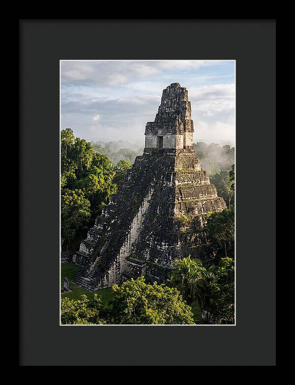 Mayan Majesty Amidst Lush Greenery