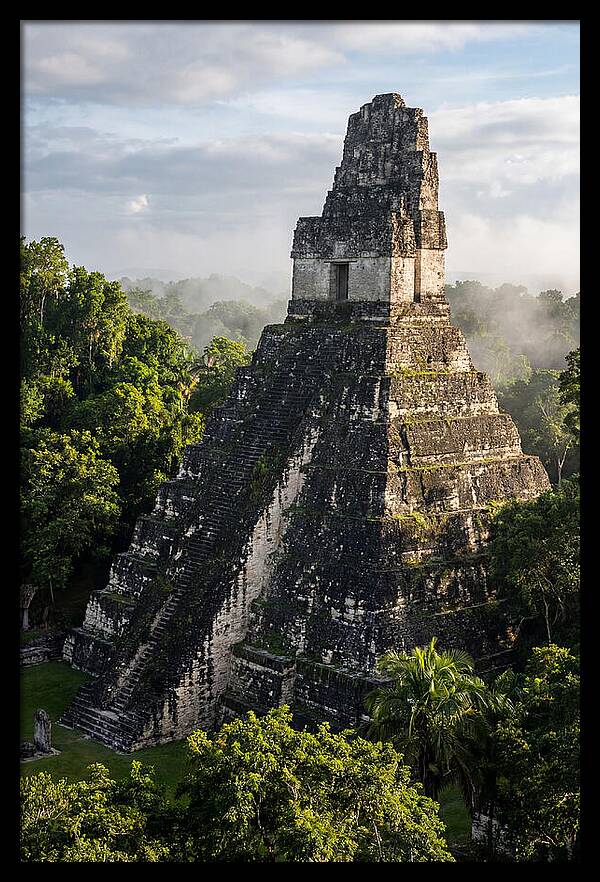 Mayan Majesty Amidst Lush Greenery