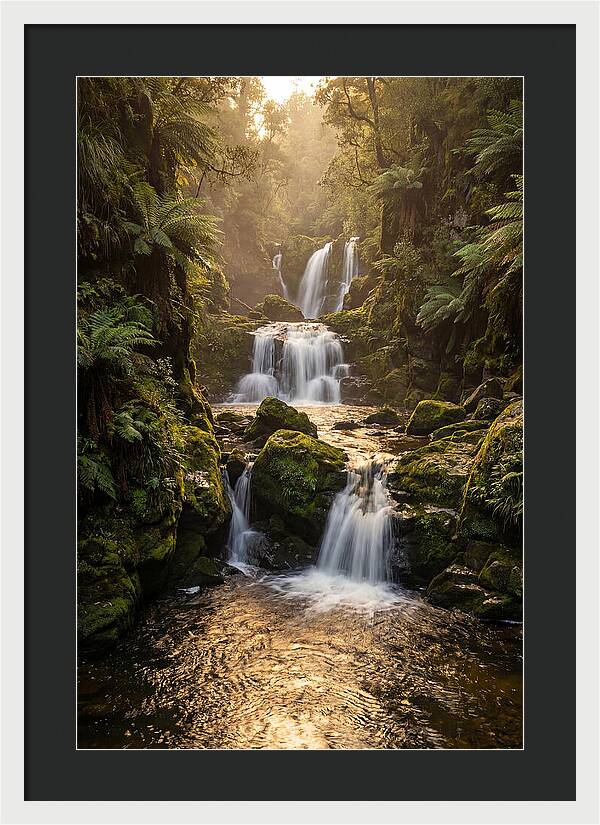 Mccormicks Creek Waterfall Serenity