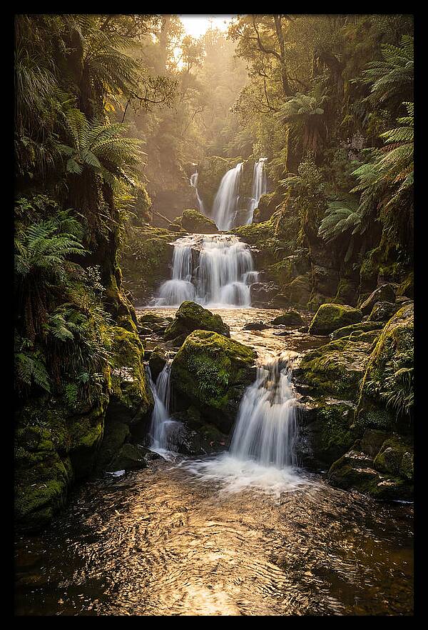 Mccormicks Creek Waterfall Serenity