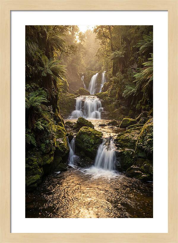 Mccormicks Creek Waterfall Serenity