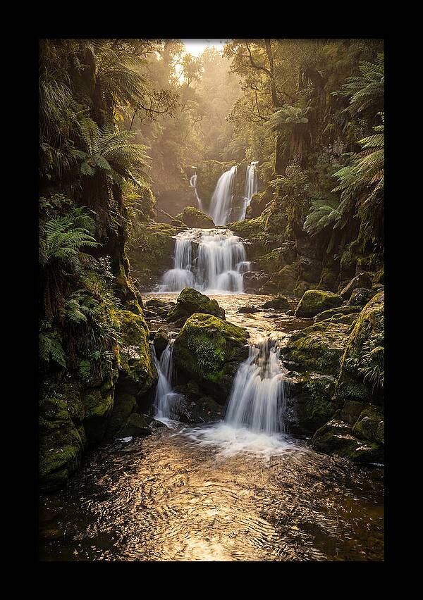 Mccormicks Creek Waterfall Serenity