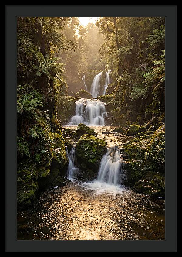 Mccormicks Creek Waterfall Serenity