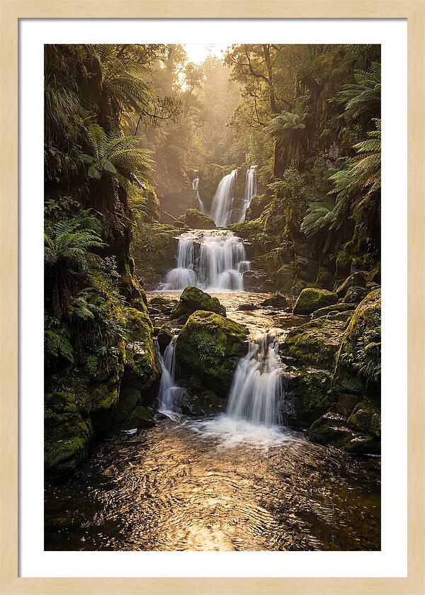 Mccormicks Creek Waterfall Serenity