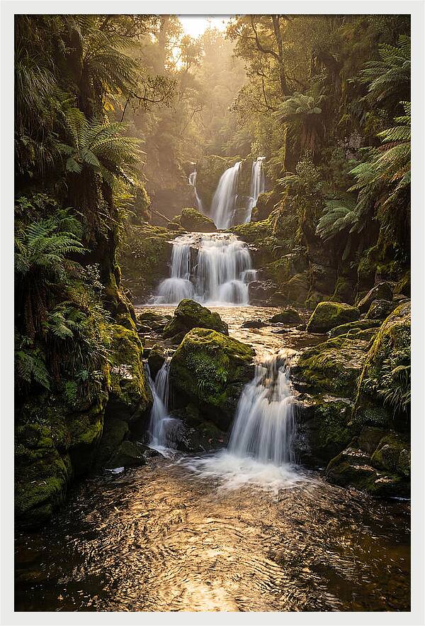 Mccormicks Creek Waterfall Serenity