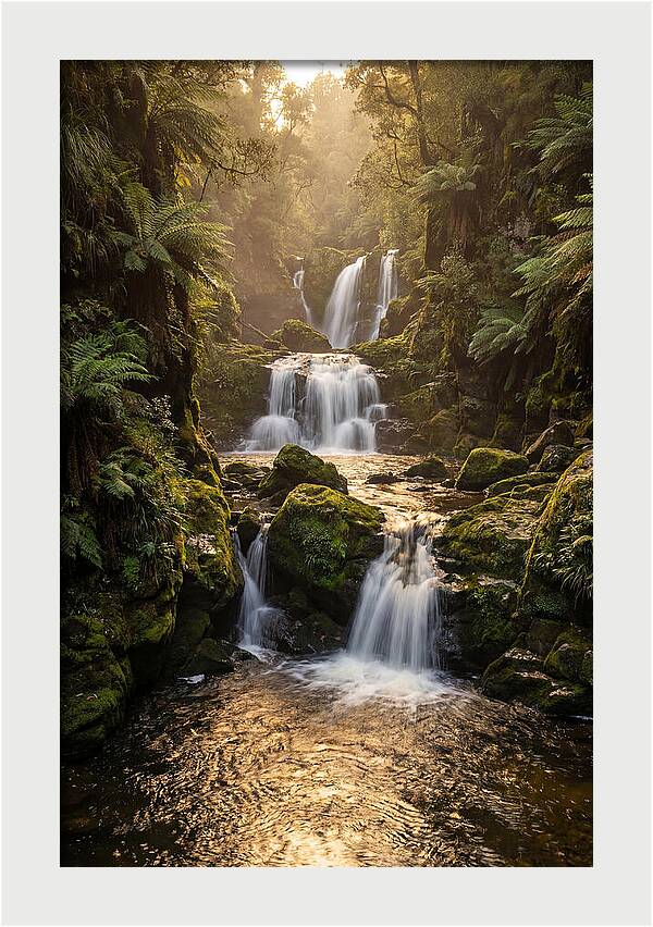Mccormicks Creek Waterfall Serenity