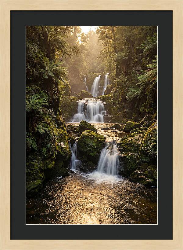 Mccormicks Creek Waterfall Serenity