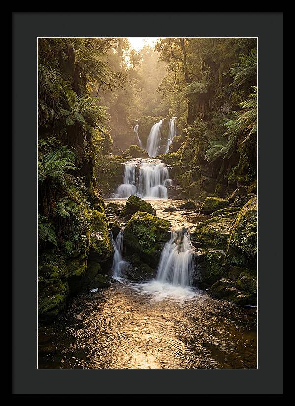 Mccormicks Creek Waterfall Serenity