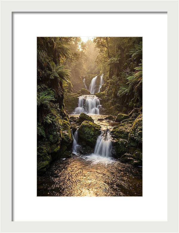 Mccormicks Creek Waterfall Serenity