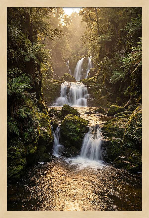 Mccormicks Creek Waterfall Serenity