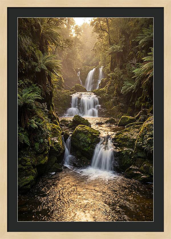 Mccormicks Creek Waterfall Serenity