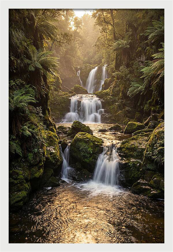 Mccormicks Creek Waterfall Serenity