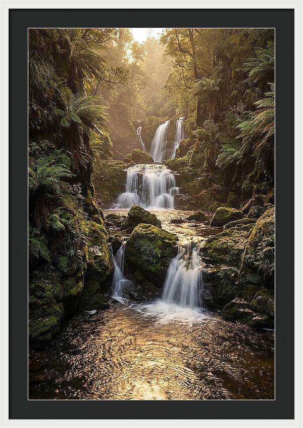 Mccormicks Creek Waterfall Serenity