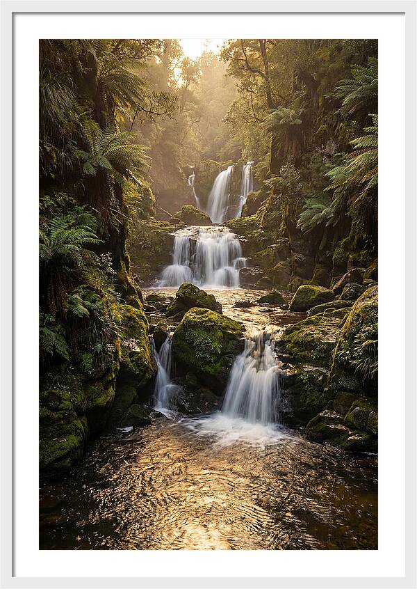 Mccormicks Creek Waterfall Serenity