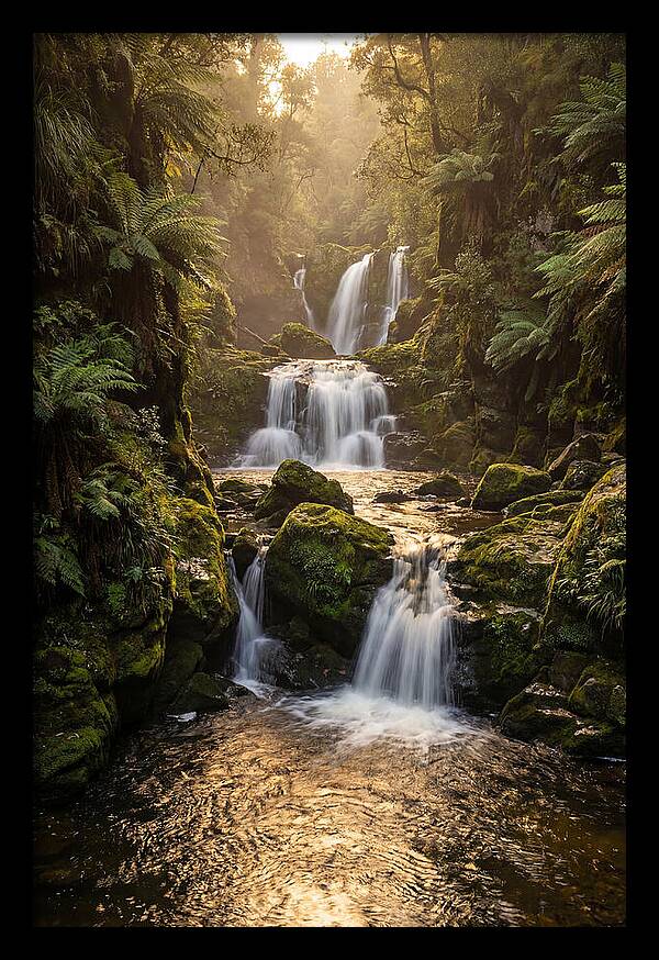 Mccormicks Creek Waterfall Serenity
