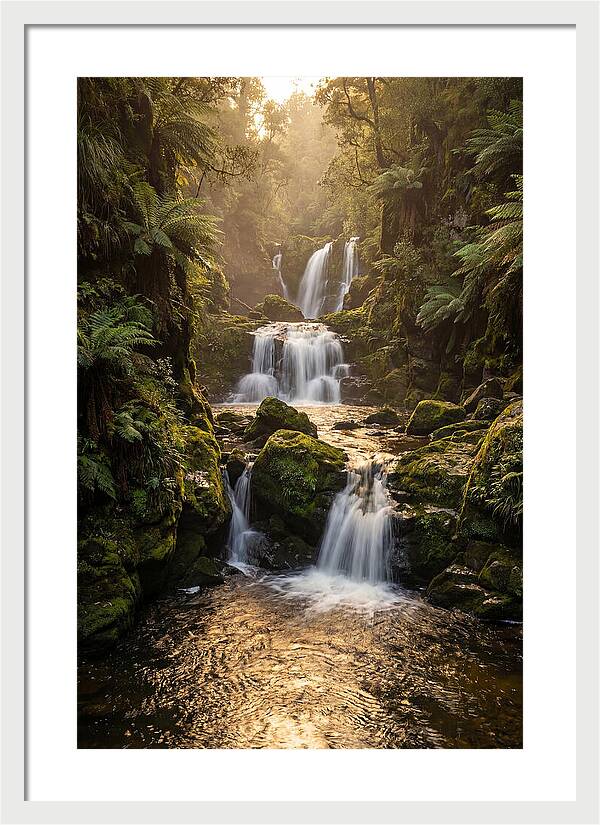 Mccormicks Creek Waterfall Serenity