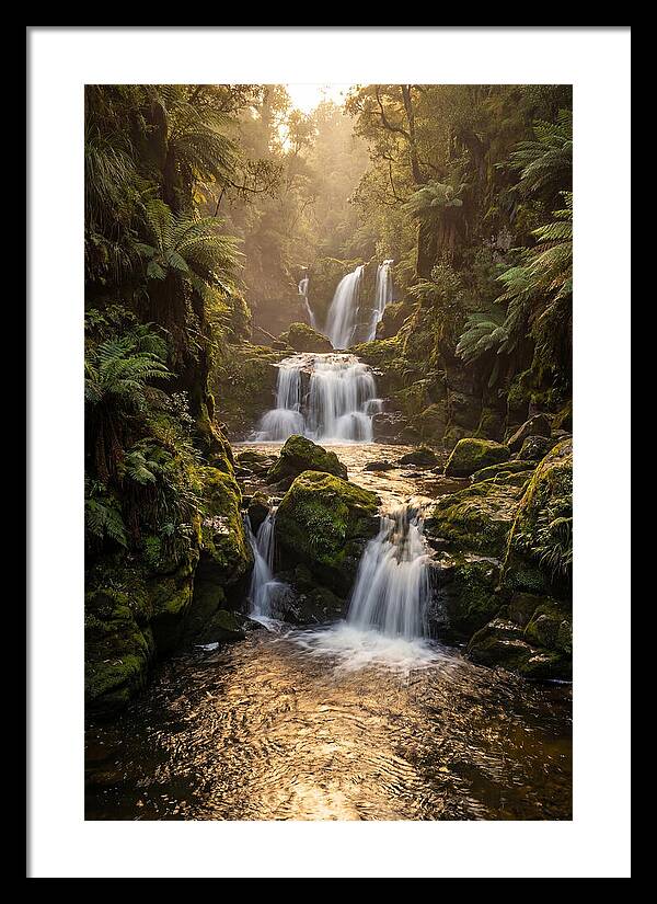 Mccormicks Creek Waterfall Serenity