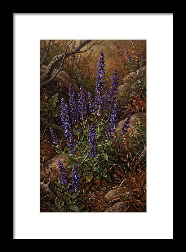 Meadow Clary Salvia In Bloom