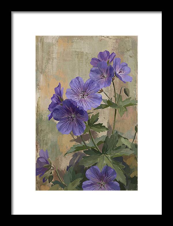 Meadow Cranesbill Geranium Blooms