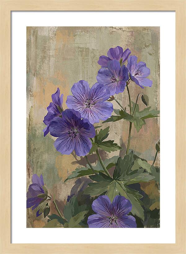Meadow Cranesbill Geranium Blooms