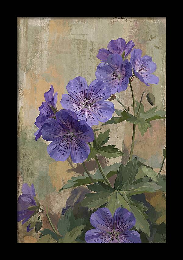 Meadow Cranesbill Geranium Blooms